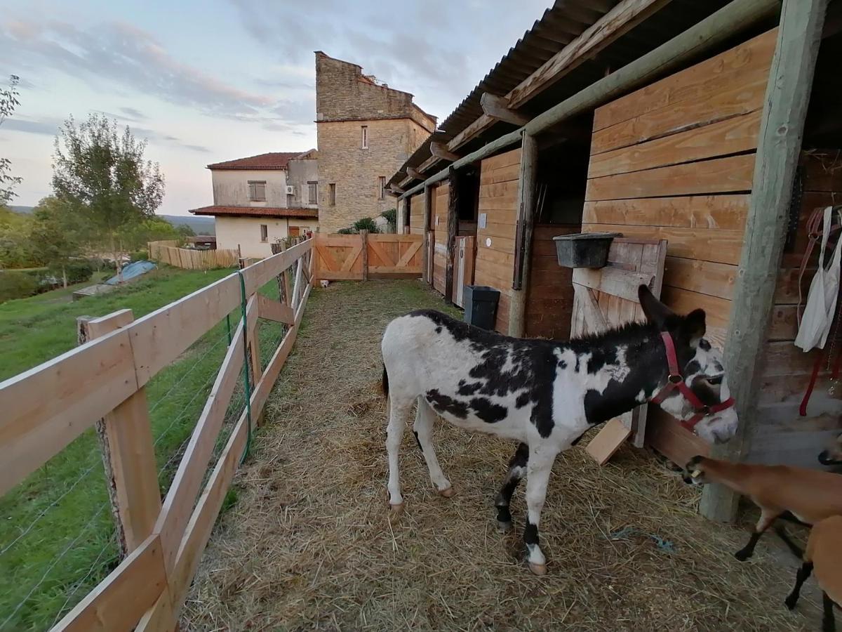 Villa Les Hauts Vallons Puylaroque Esterno foto